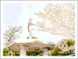 ヴィーナス像と桜