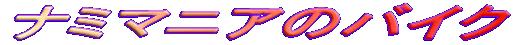 �i�~�}�j�A�̃o�C�N