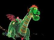 説明: ディズニー5