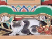 : R