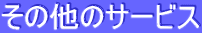 ̑̃T[rX