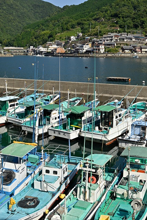 熊野の小さな漁師町