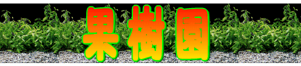 ʎ 