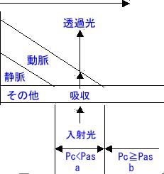 皮膚透過光模式図