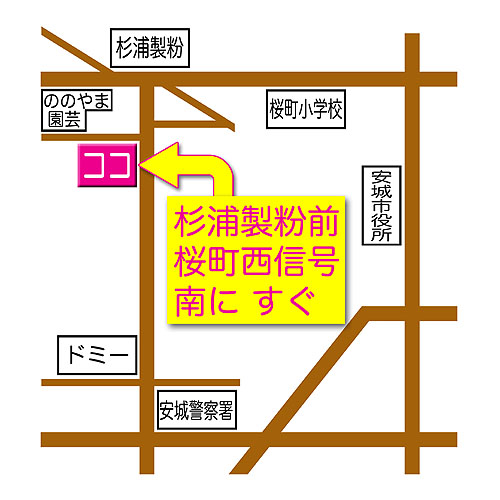 map01.jpg