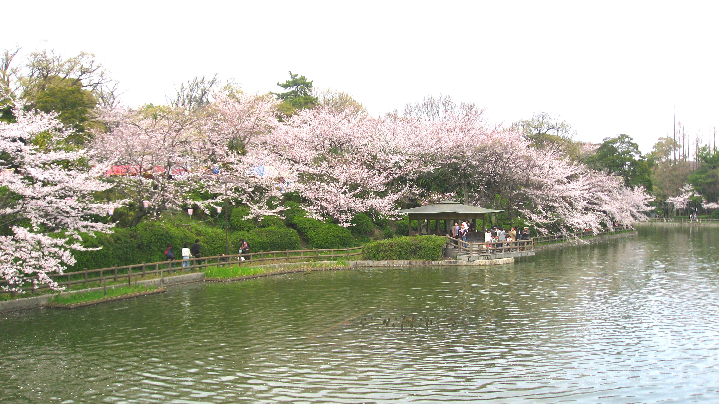 昼の亀城公園