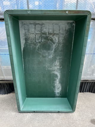 中古水槽 - 川合観賞魚