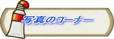 ʐ^̃R[i[