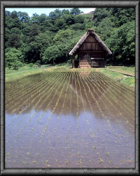 白川