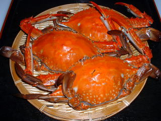 かに、 三河湾の 「ワタリガニ」　雄