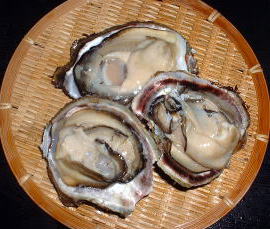 佐久島の 岩牡蠣