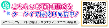 こちらの珍百景画像をケータイで待受け配信中！