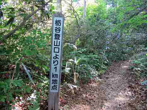 金剛堂山》