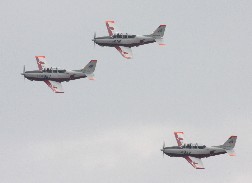 T7
