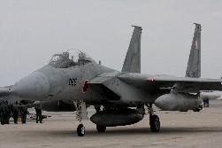 F15