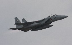 F15