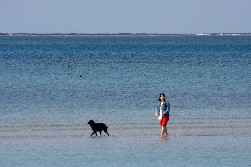 浜辺にて