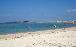 海岸