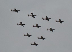 T7