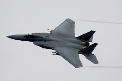 F15