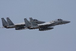 F15