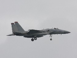 F15