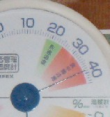 38℃?