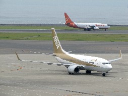 ANA B737