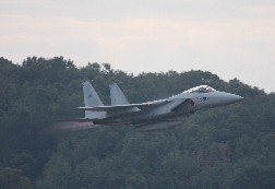 F15