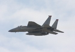 F15