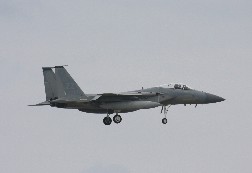 F15