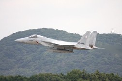 F15