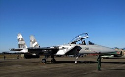 F15