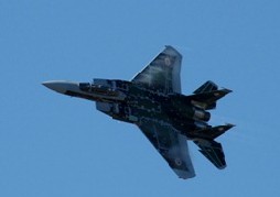 F15