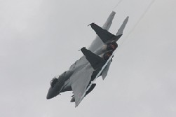 F15