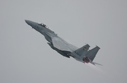 F15