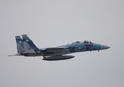 F15