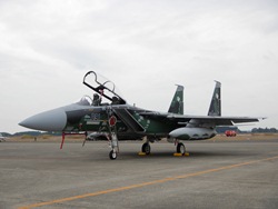 F15
