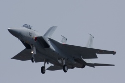 F15