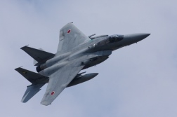 F15