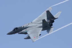 F15