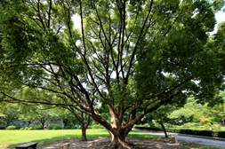 名城公園