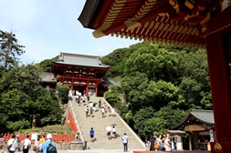 鶴岡八幡宮