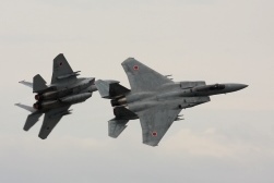 F15