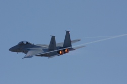 F15