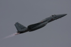 F15