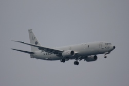 P8A