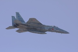 F15