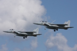 F15