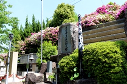 旧海軍墓地